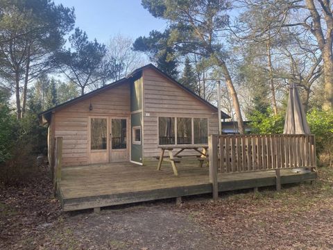 EuroParcs Ruinen - Camping De Wolden - Image N°39