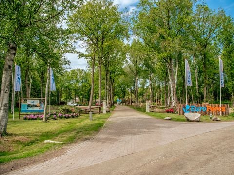 EuroParcs Ruinen - Camping De Wolden - Image N°7