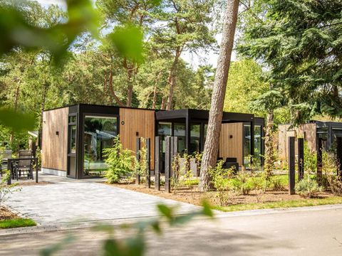 TopParken Resort Veluwe - Camping Barneveld - Image N°54