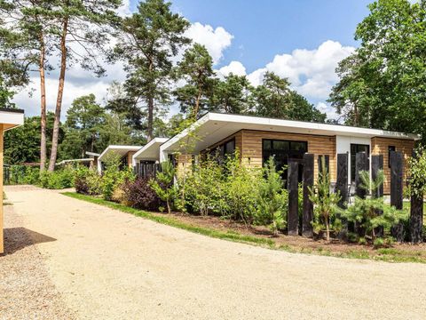 TopParken Resort Veluwe - Camping Barneveld - Image N°81