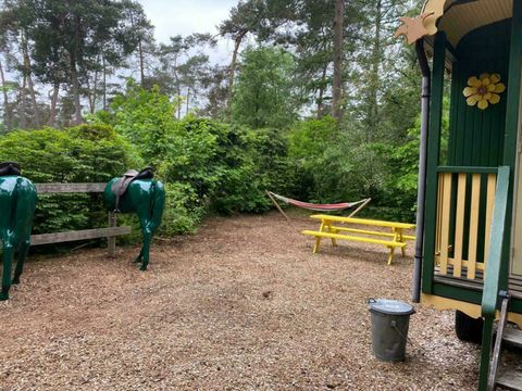 TopParken Resort Veluwe - Camping Barneveld - Image N°40