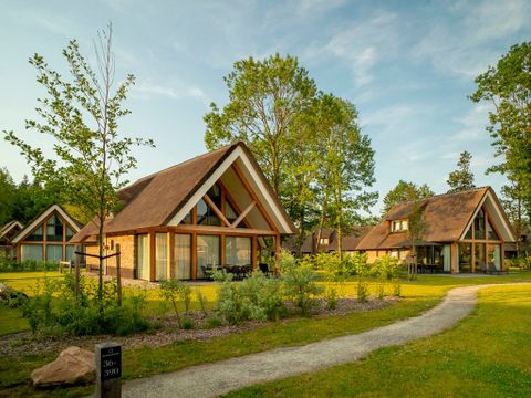 Landal PUUR Exloo - Camping Borger-Odoorn