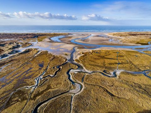 Landal Beach Park Texel - Camping Texel - Image N°13