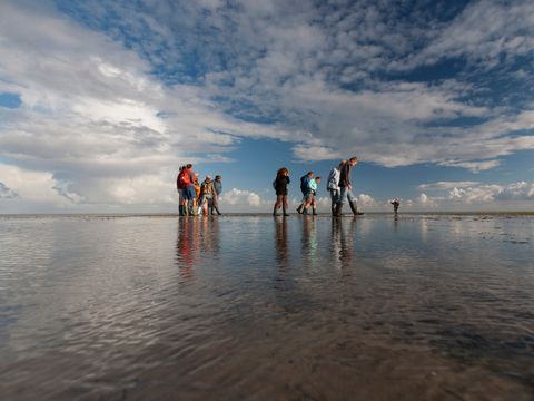 Landal Villapark Vogelmient - Camping Texel - Image N°6