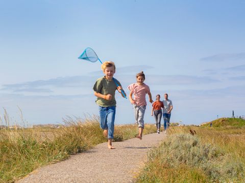 Landal Villapark Vogelmient - Camping Texel - Image N°13