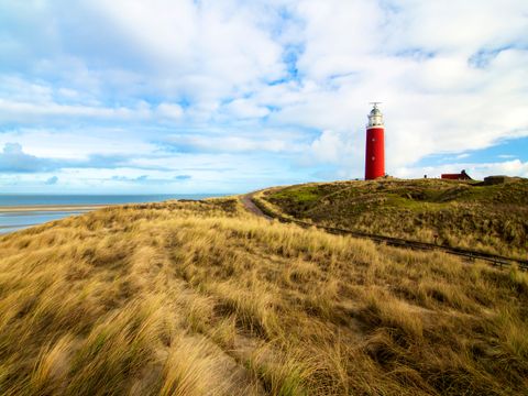 Landal Villapark Vogelmient - Camping Texel - Image N°5