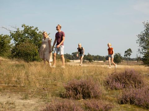 Landal Kaatsheuvel - Camping Loon Op Zand - Image N°5