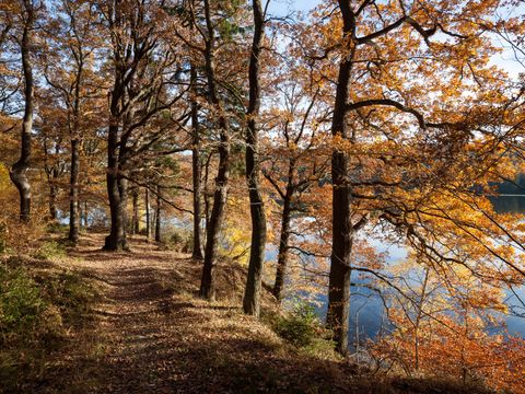 UplandParcs Sauerland - Camping Rhénanie du Nord-westphalie - Image N°6