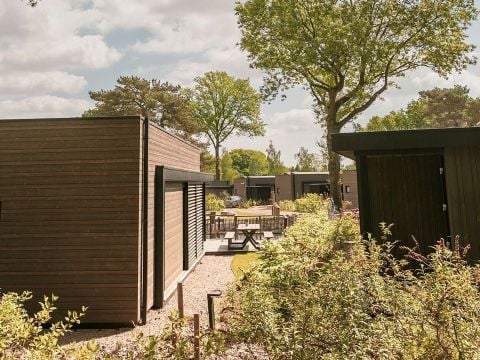 Soof Heuvelrug - Camping Rhenen - Image N°6