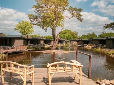 Soof Heuvelrug - Camping Rhenen - Image N°33