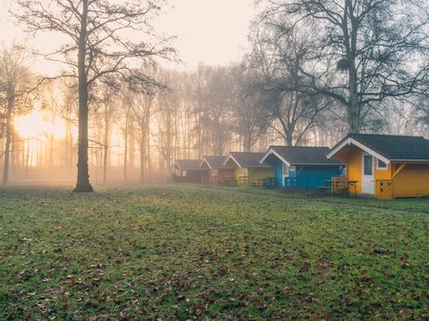 EuroParcs Het Amsterdamse Bos - Camping Amsterdam - Image N°6