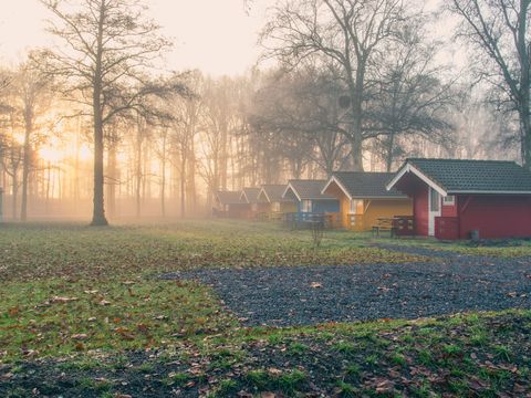 EuroParcs Het Amsterdamse Bos - Camping Amsterdam - Image N°5