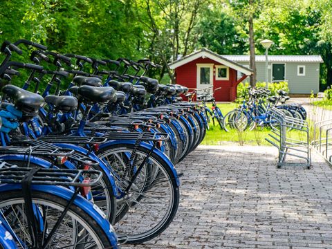 EuroParcs Het Amsterdamse Bos - Camping Amsterdam