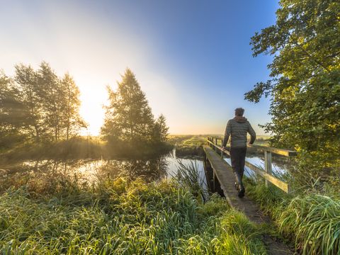 Landgoed 't Wildryck - Camping Westerveld - Image N°13