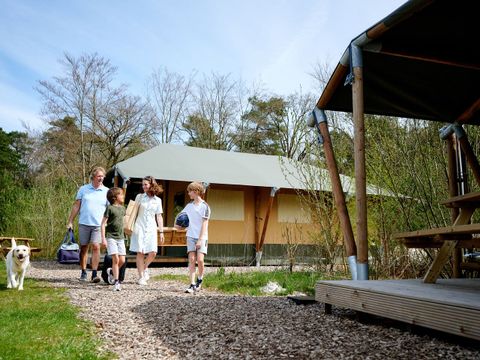 Landal Glamping Neufchateau - Camping Luxembourg - Image N°9