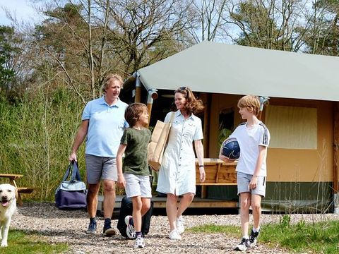 Landal Glamping Neufchateau - Camping Luxembourg - Image N°5