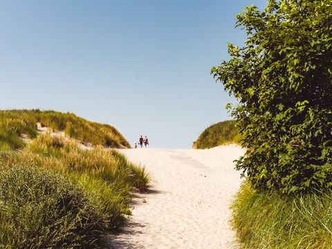 Roompot Ameland - Camping Ameland - Image N°15