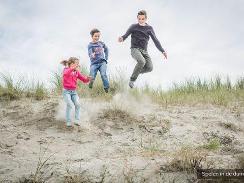 Villapark de Koog - Camping Texel - Image N°11