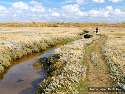 Villapark de Koog - Camping Texel - Image N°11