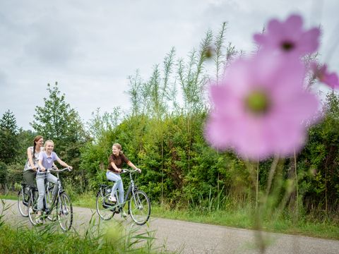 Landal Waterresort Blocksyl - Camping Steenwijkerland - Image N°32