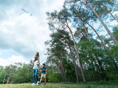 Landal Drentse Lagune - Camping Midden-Drenthe - Image N°22