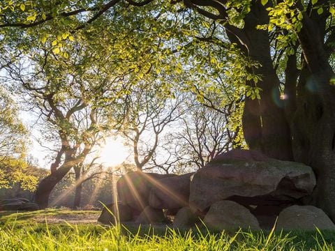 Landal Drentse Lagune - Camping Midden-Drenthe - Image N°18