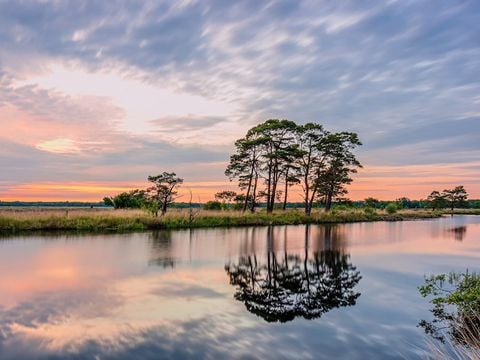 Landal Drentse Lagune - Camping Midden-Drenthe - Image N°28