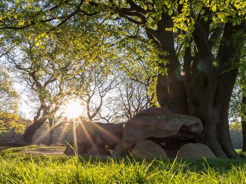 Landal Drentse Lagune - Camping Midden-Drenthe - Image N°8