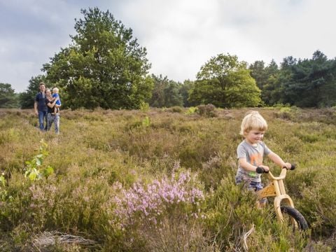 Landal Drentse Lagune - Camping Midden-Drenthe - Image N°3