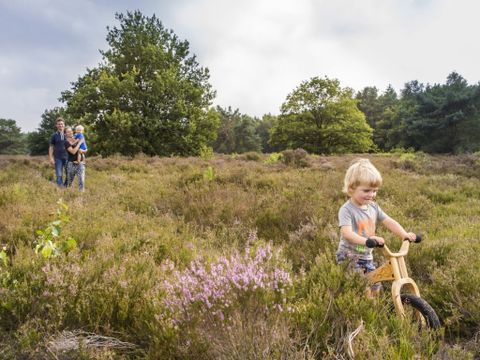 Landal Drentse Lagune - Camping Midden-Drenthe - Image N°10