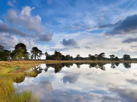 Landal Drentse Lagune - Camping Midden-Drenthe - Image N°19