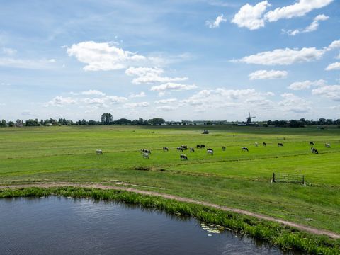 De Tulpenacker - Camping Kaag et Braassem - Image N°7