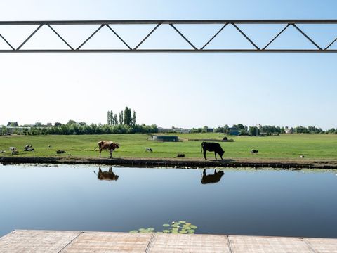 De Tulpenacker - Camping Kaag und Braassem - Image N°15