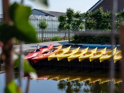 De Tulpenacker - Camping Kaag et Braassem - Image N°14