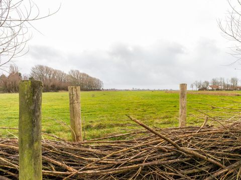 Marinapark Mookerplas - Camping Mook et Middelaar - Image N°341