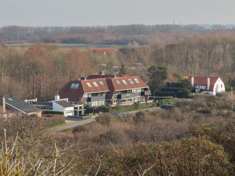 Marinapark Mookerplas - Camping Mook et Middelaar - Image N°235