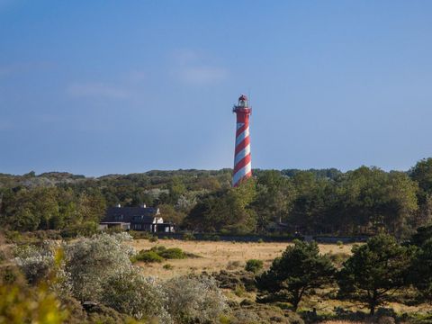 Marinapark Mookerplas - Camping Mook et Middelaar - Image N°76