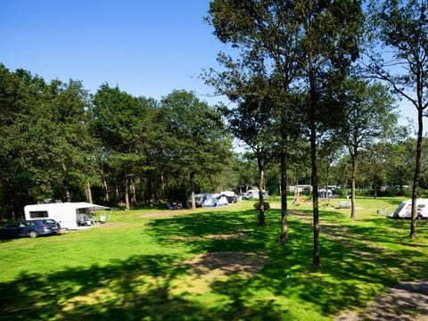 Park Drentheland - Camping Westerveld - Image N°11