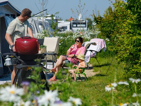 Camping Zonneweelde - Camping Cadzand - Image N°43