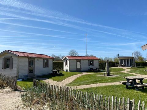 Camping Zonneweelde - Camping Cadzand - Image N°145