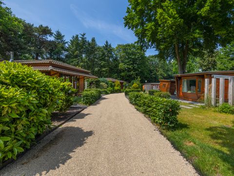 Bungalowpark Het Verscholen Dorp - Camping Harderwijk - Image N°31