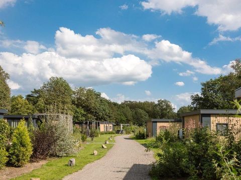 Mooi Twente lodges - Camping Hof Van Twente - Image N°34