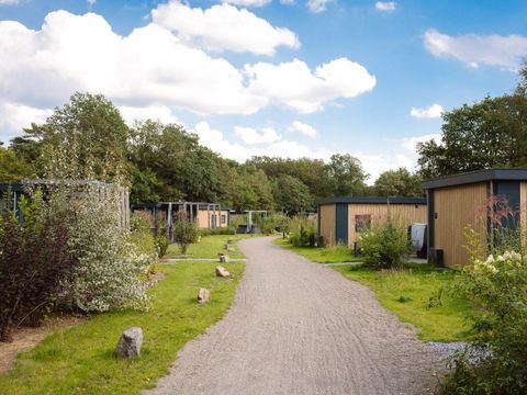 Mooi Twente lodges - Camping Hof Van Twente - Image N°21