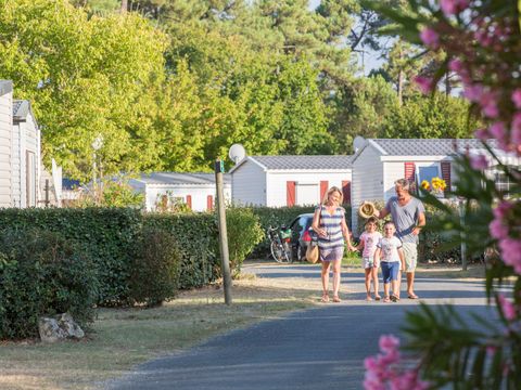 Tour Opérateur et particuliers sur camping La Pignade - Funpass inclus  - Camping Charente-Maritime - Image N°12