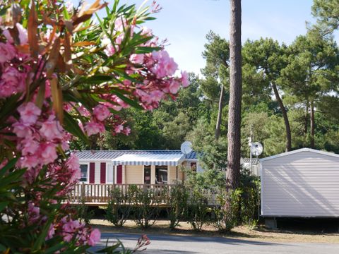 Tour Opérateur et particuliers sur camping La Pignade - Funpass inclus  - Camping Charente-Maritime - Image N°9