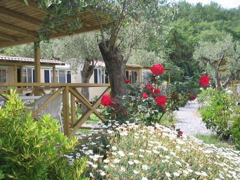 Camping dei Fiori - Camping Savone - Image N°96