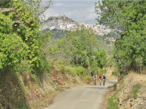 Ciudad del Ciclismo - Camping Castellón - Image N°12