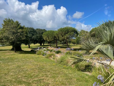 Damona Lodges - Camping Vendée - Image N°8