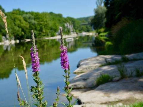 Camping Les Peupliers - Camping Ardèche