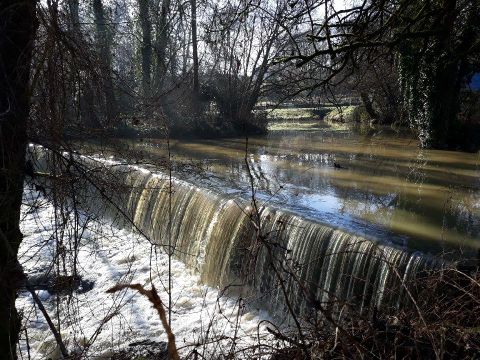 Camping les Landes d'Armagnac - Camping Landes - Image N°24